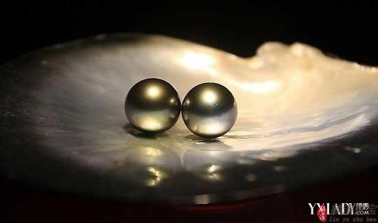 黑珍珠 一颗顶级珍珠至少一万美金的价格！