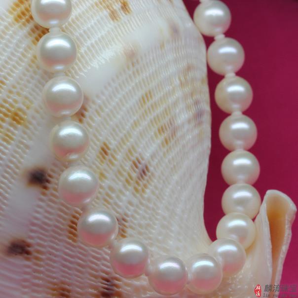 珍珠项链多少钱？海水珍珠项链和黑珍珠项链的价格